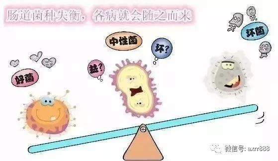                     益生菌是解决宝宝黄疸又安全又有效的方法！