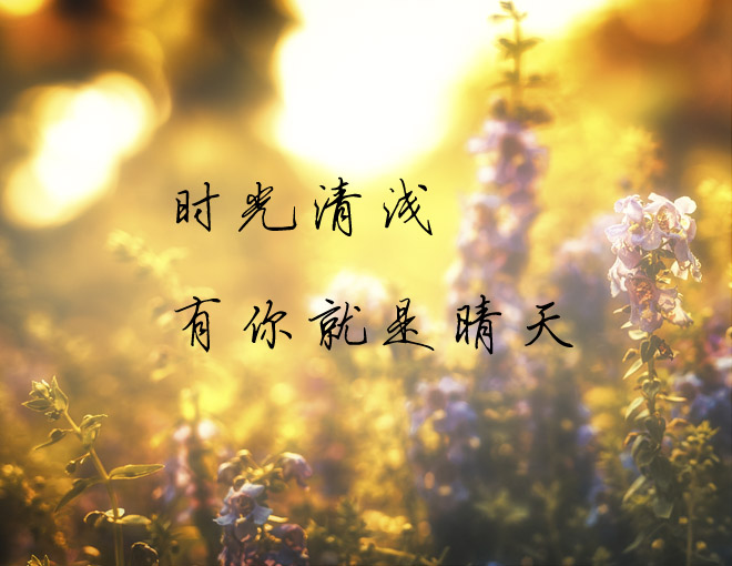 a8cc506f6ea2498c9c4961f93b3ec3d3.jpeg