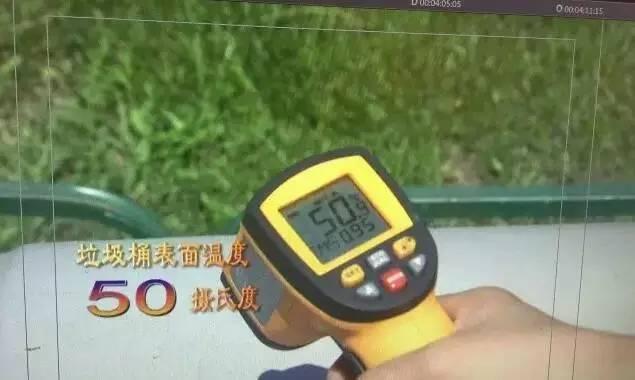                     男童碰到它后手烫掉层皮！这些夏季常见的“街头凶手”一定要远离
