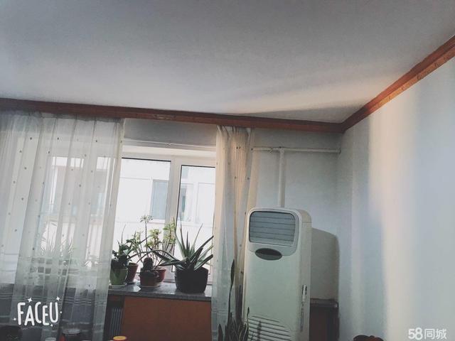 b314e74487b34c56aebfad37ec724499.jpeg