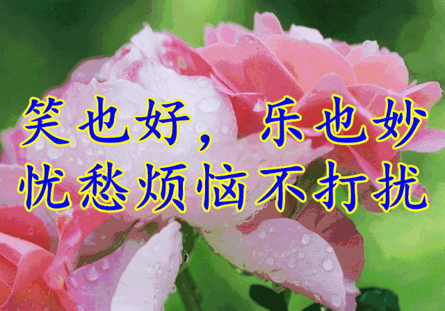 640_448gif 动态图 动图