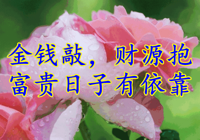 67祝大家2019小暑快乐