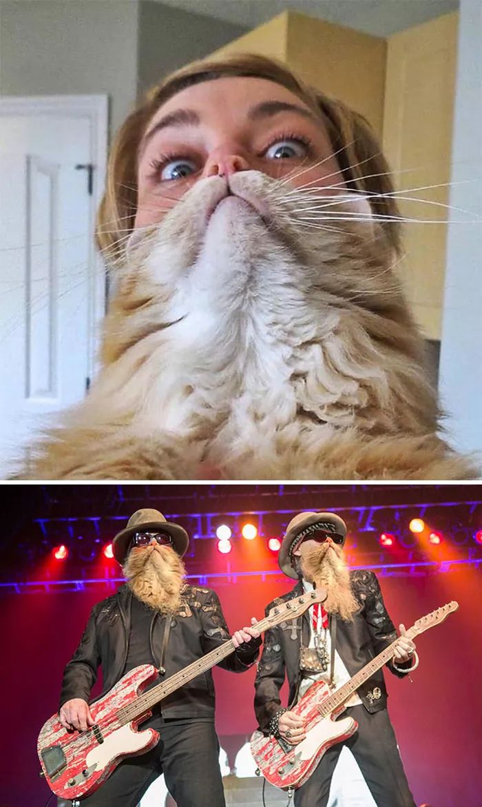 若是让沙雕网友们p起图来…… 一张戴珍珠耳环的美鸭图 ps=一切皆有