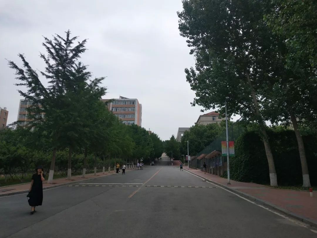 数字媒体艺术专排名_数字媒体与艺术设计学院学子在第八届全国高校数字