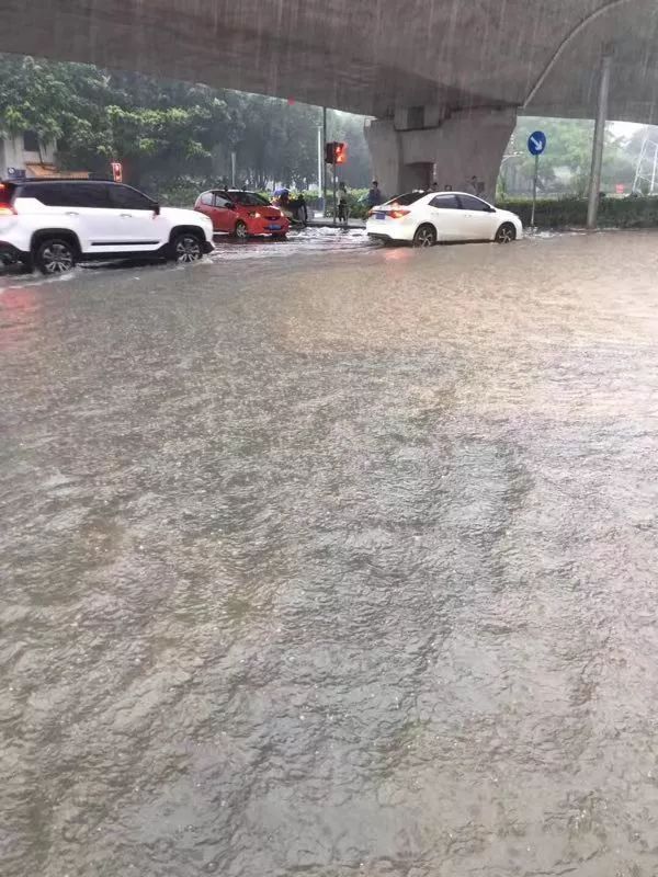 假的!大暴雨让柳州多处内涝,公交停运!出行注意安全!