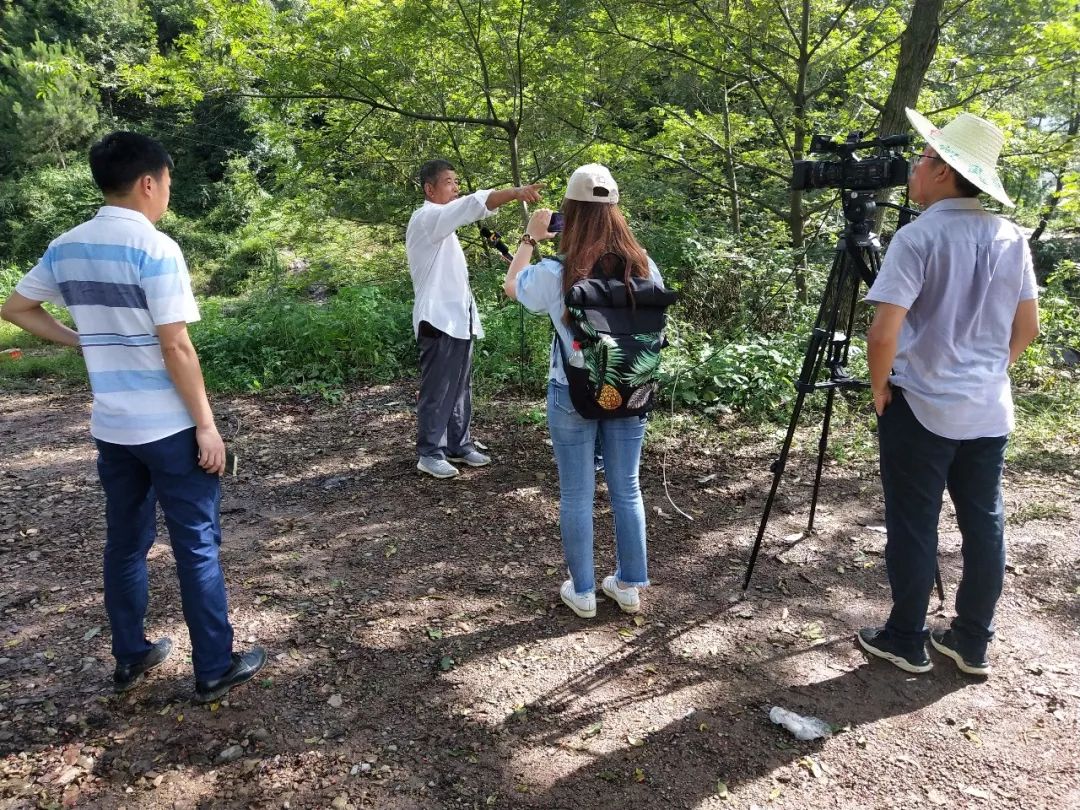 记者听蒋德润谈往事军家山虽然已经成了学校,但当地人仍叫它军家山