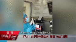 07f0be69f247451297db2b16c426555a.gif