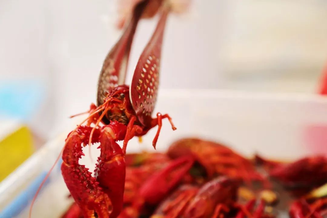 上周末,杭州9家馆子嗨爆城西银泰!老板怒亏10