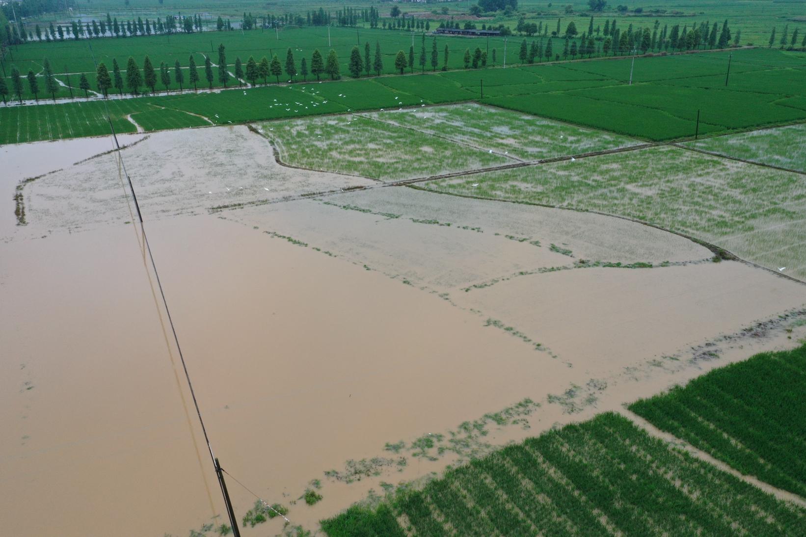 原创江西铅山暴雨来袭航拍洪水淹没农田