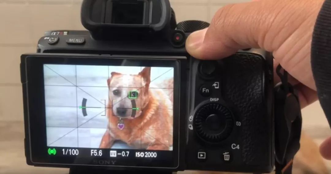 微单远摄真的来了 让我们换个轻松的方式拍鸟