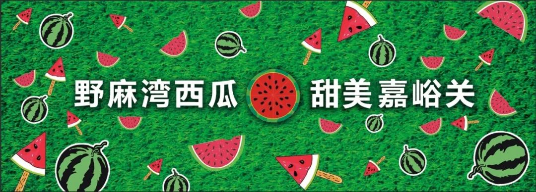 夏天就是要大口吃西瓜嘉峪关2019年新城镇野麻湾西瓜节7月20日开幕