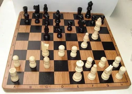 英语口语对话:你什么时候开始下象棋的?