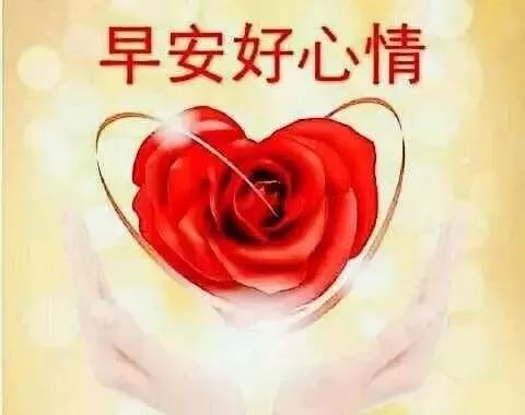 簲ʺףﶯ鶯̬ͼƬ,ܰ簲ʺ