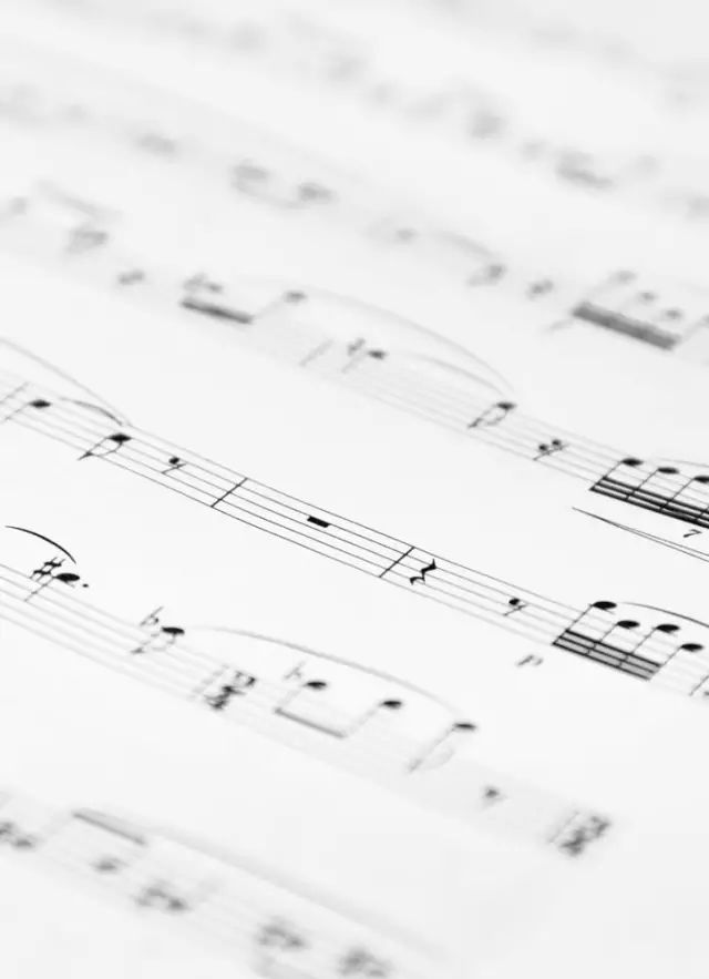 五度圈简谱_十五的月亮简谱