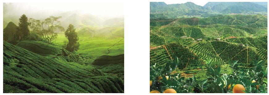 赣州绿地国际会展中心结构初探