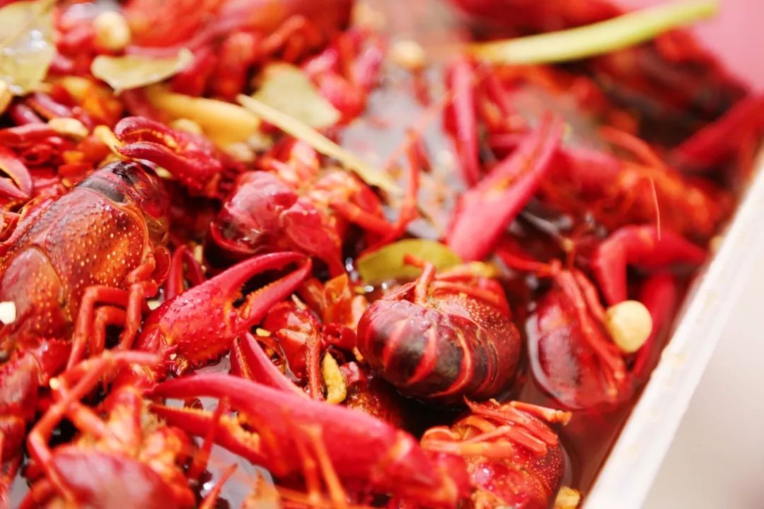 上周末,杭州9家馆子嗨爆城西银泰!老板怒亏10