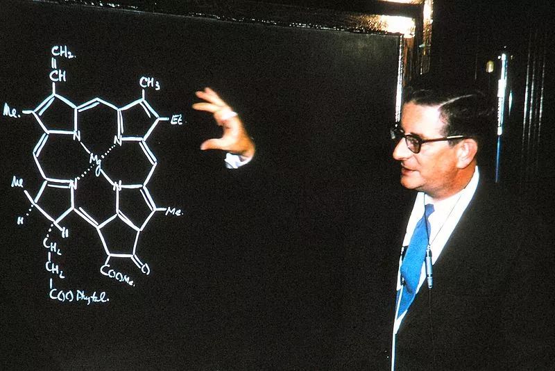他是化学界"蓝精灵,他合成了维生素b12 医学史上的7月8日