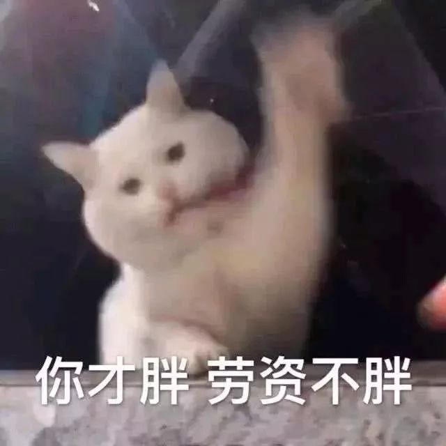 每日表情丨忙完记得找我