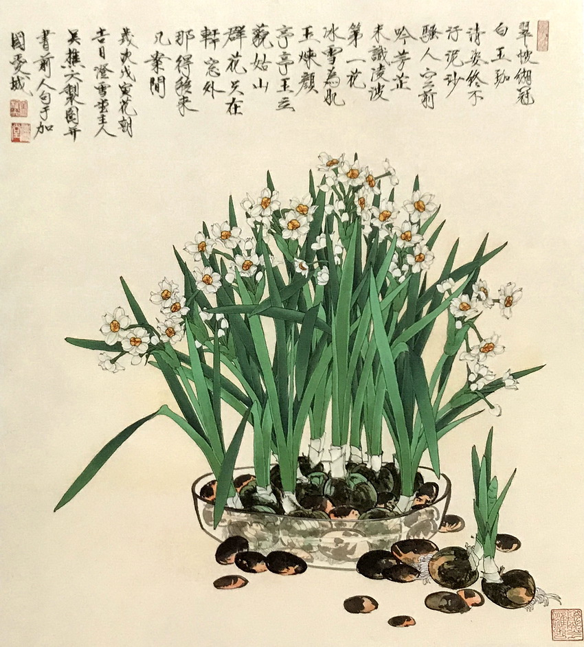 荷花鸳鸯 吴樵六国画花卉艺术作品:写生水仙花图 李苦禅国画花鸟艺术