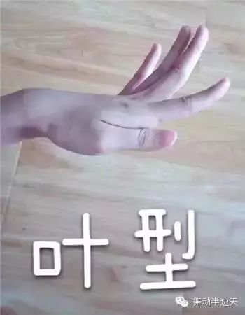 傣族舞手位脚位舞步姿态教学视频学好它们