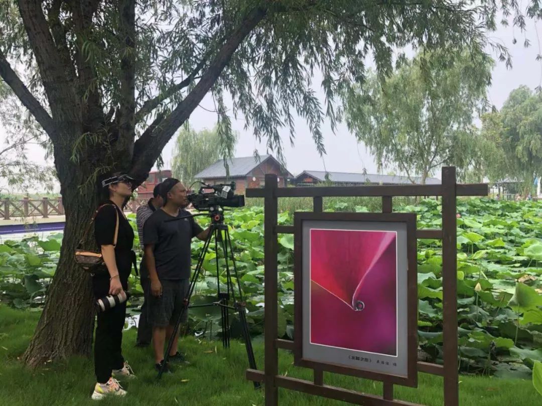 央视《发现之旅》频道摄制组前往射阳湖拍摄取