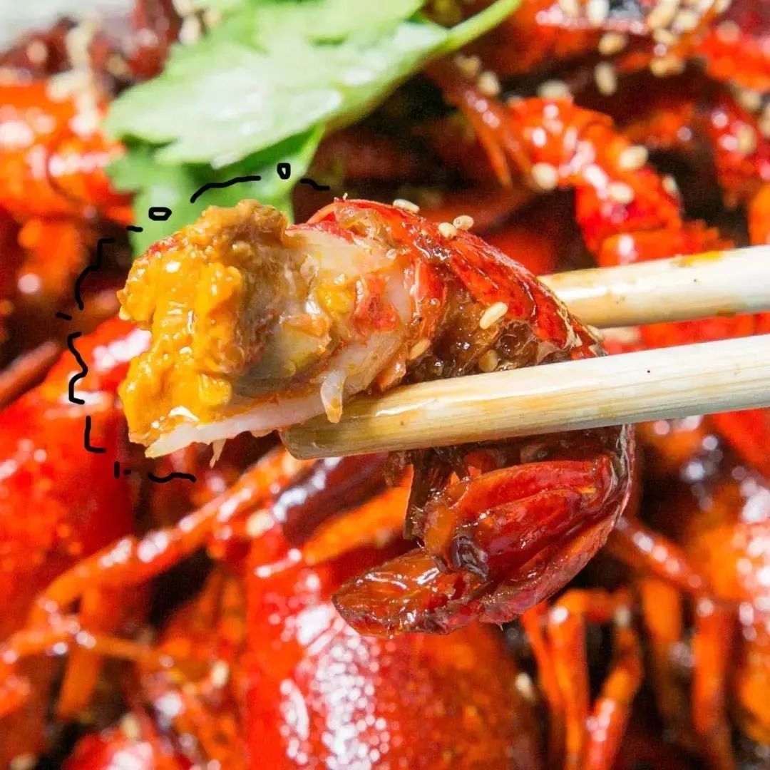 话不多说!今天我们直接送龙虾!网红话梅味哦!