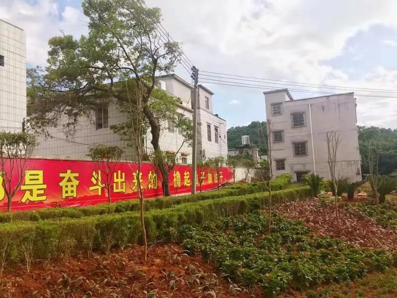 封开县有多少人口_封开县江口中学