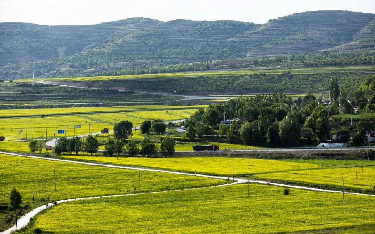 1 12 隆德县隆张路旁的风景 家在画里,画里有家 大自然的美丽,永远不