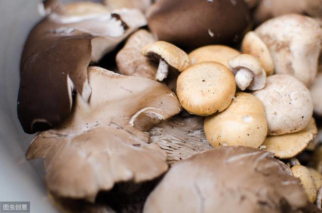 长久以来,人们就把蘑菇当作提高免疫力的食物.