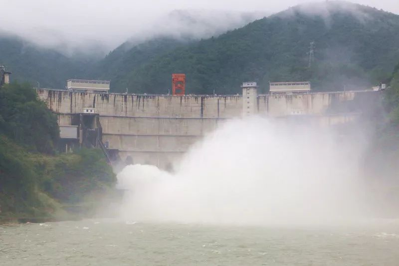 连续降雨,紧水滩水库小规模泄洪_水位