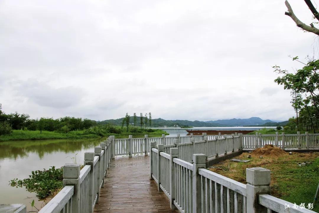 改造提升后的潮州韩江金山大桥湿地公园有多漂亮