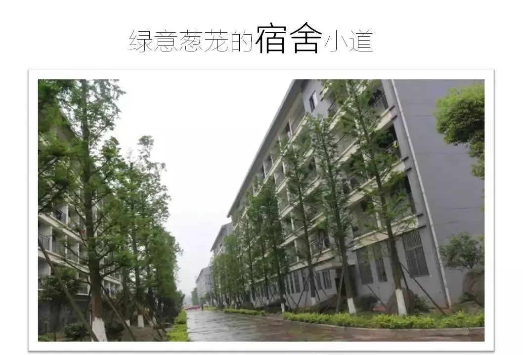 分数不够却想上高中的凉山中考生:你可以关注一下泸州合江利城高中!