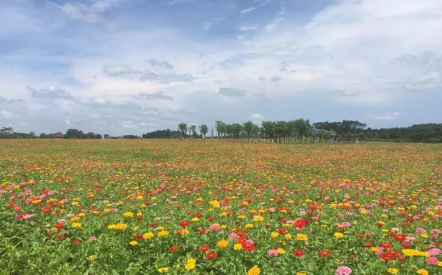 田园的生活有多惬意 827a9369e23f4daa8a2578e37fcbc560.jpeg