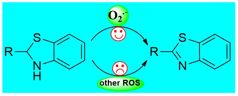 的动态可逆检测生物体系中的 ros 与还原性系统时刻处于动态可逆平衡