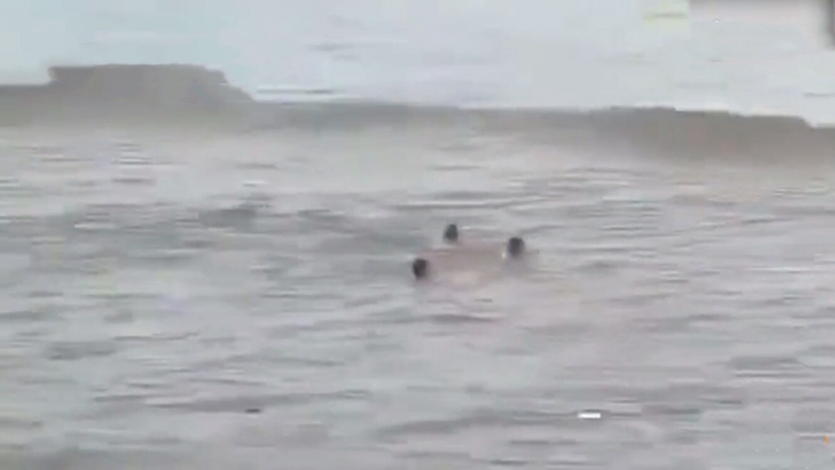 拿命开玩笑?3人被钱塘江冲走 岸边那么多的警告标语就是挡不住啊!