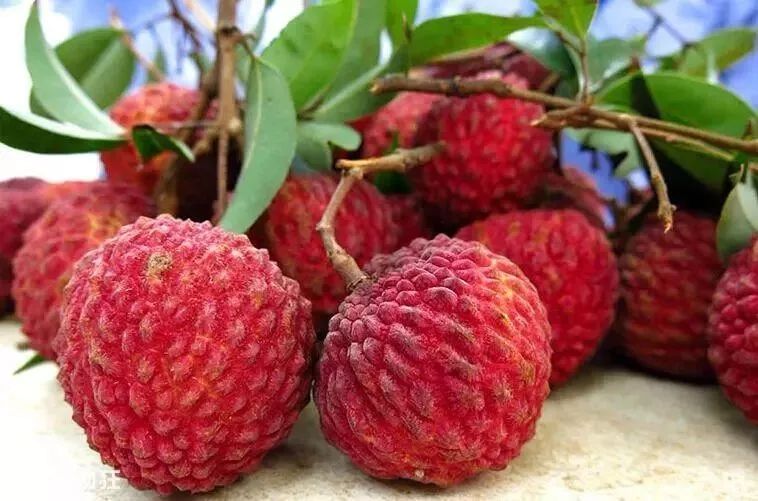                    103个孩子因吃荔枝死亡！夏季这6种水果别再给孩子乱吃了