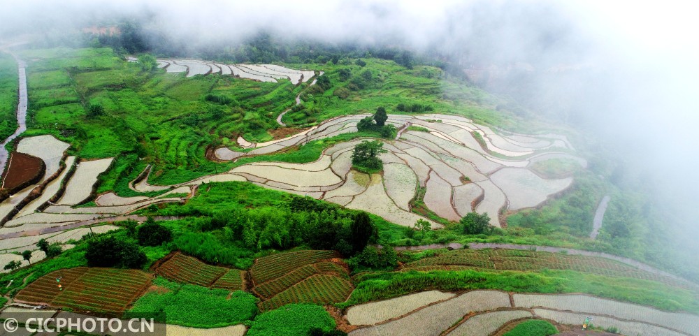 浙江仙居杨丰山梯田景美如画