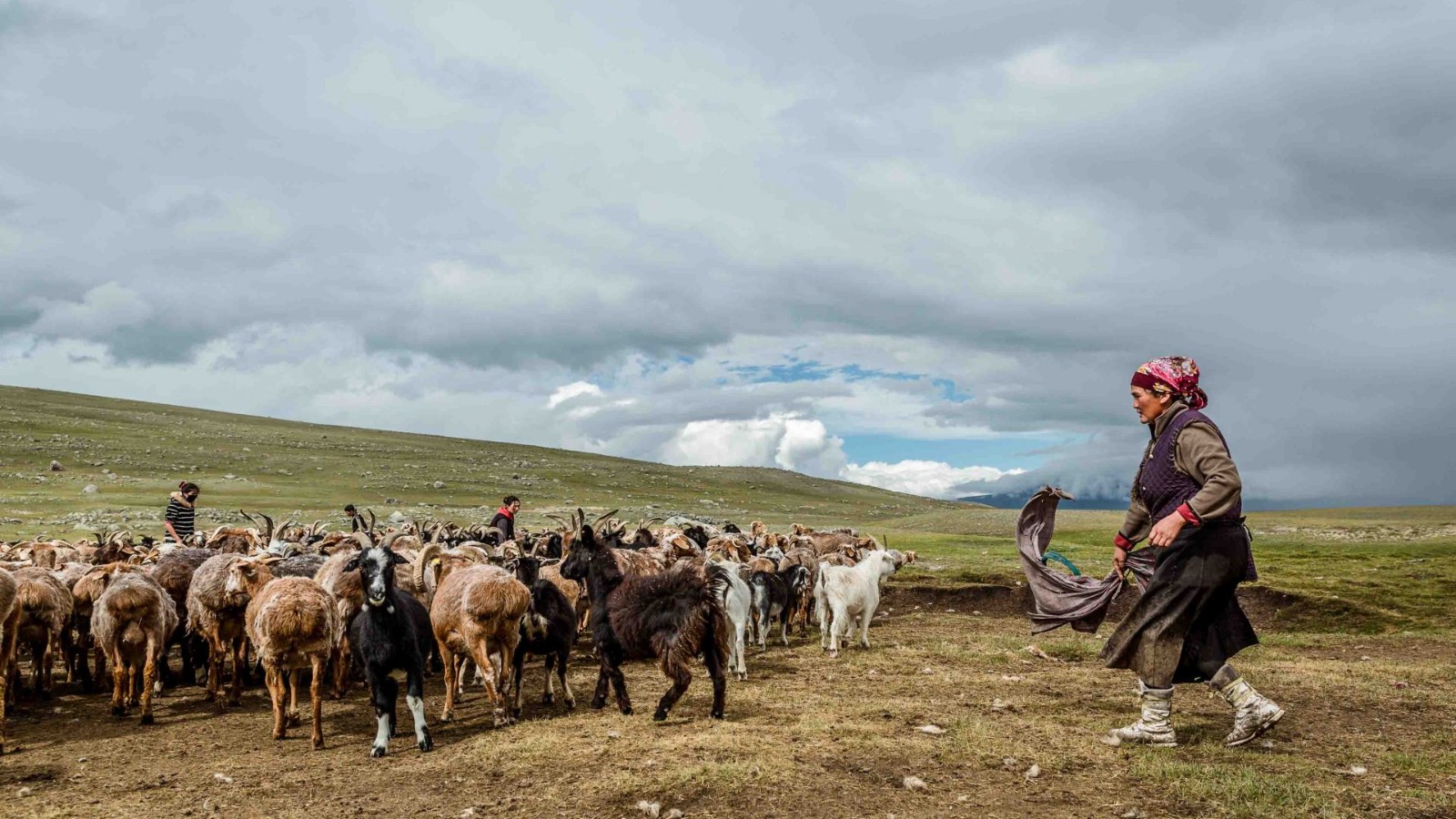 最后的流浪者:蒙古游牧民族的生活
