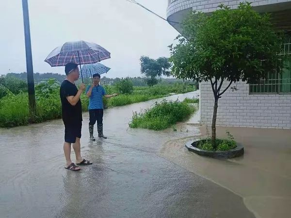 石江村人口_安宁市石江村背景(3)