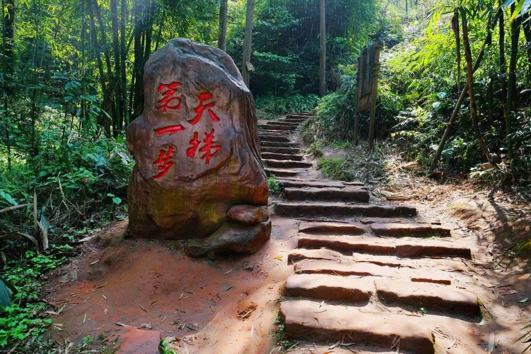 "爱情天梯"也成为了"重庆新地标","新重庆 · 巴渝十二景".