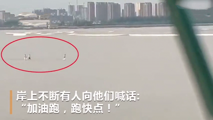 拿命开玩笑?3人被钱塘江冲走 岸边那么多的警告标语就是挡不住啊!