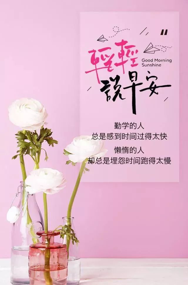 早安心语正能量鸡汤 暖心治愈系的感悟句子