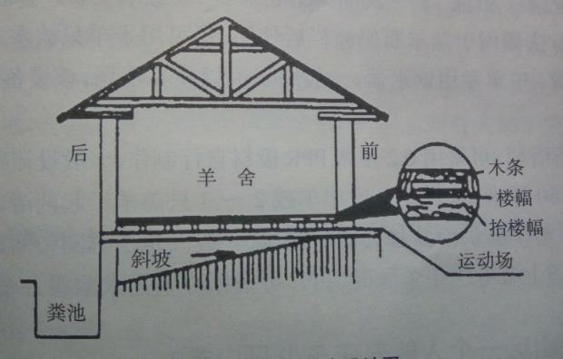 吊楼式羊舍设计图