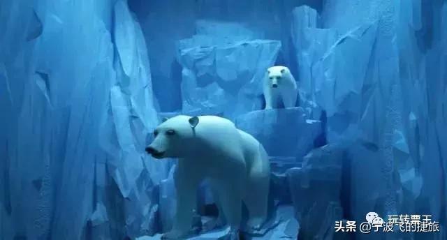 69.9元,抢中国海影城夜场+奇幻雪世界+气味电影联票一张!