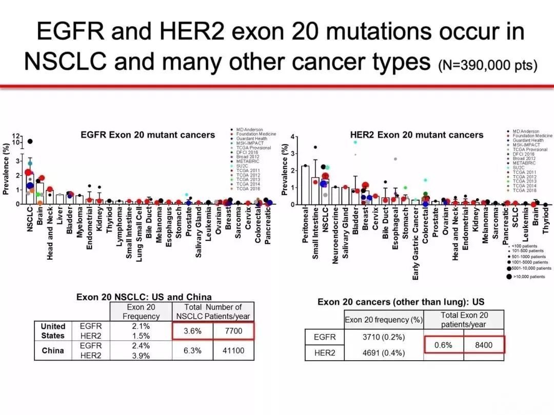 Asco Egfr Exon Her Nsclc Exon