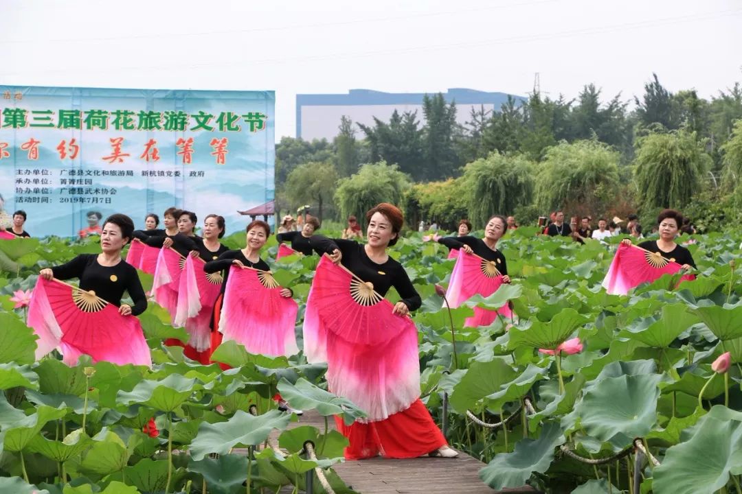 一场文化和旅游的盛宴记箐箐庄园第三届荷花文化旅游节