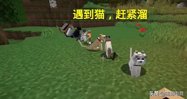 f8a6e08757ee4abf8b96d016a2b791f7.jpeg