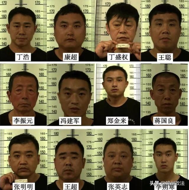 黑龙江呼兰"老丁家"落网,警方抓捕13人!有奖征集涉黑线索