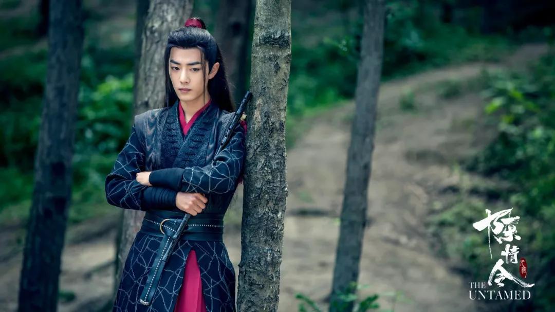 陈情令》101”：肖战、王一博等宝藏男孩真香出道_搜狐网