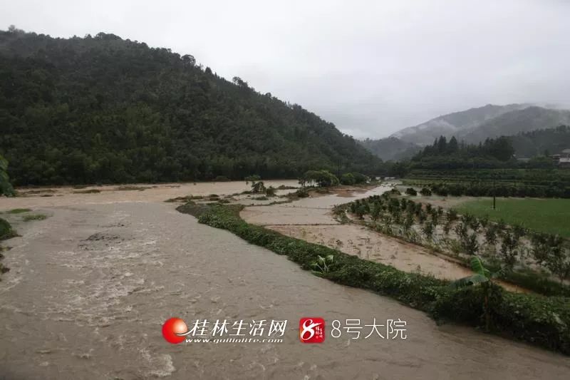 跟进！灵川九屋洪水最新情况！风雨桥已垮 多辆私家车被冲走(图)